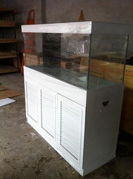 秦皇岛鱼友的定制鱼缸 天津彩晶CAG实木底柜与CMF海水观赏鱼论坛的完美结合