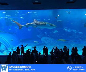 杭州大型亚克力鱼缸设计公司及厂家推荐 全景展示，打造水中艺术