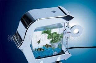 办公室里的水族乐园 供应迷你鱼缸与USB办公鱼缸解决方案