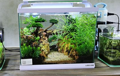 广州圆形锦鲤生态鱼缸造景 问初为您打造流动的东方诗意画卷